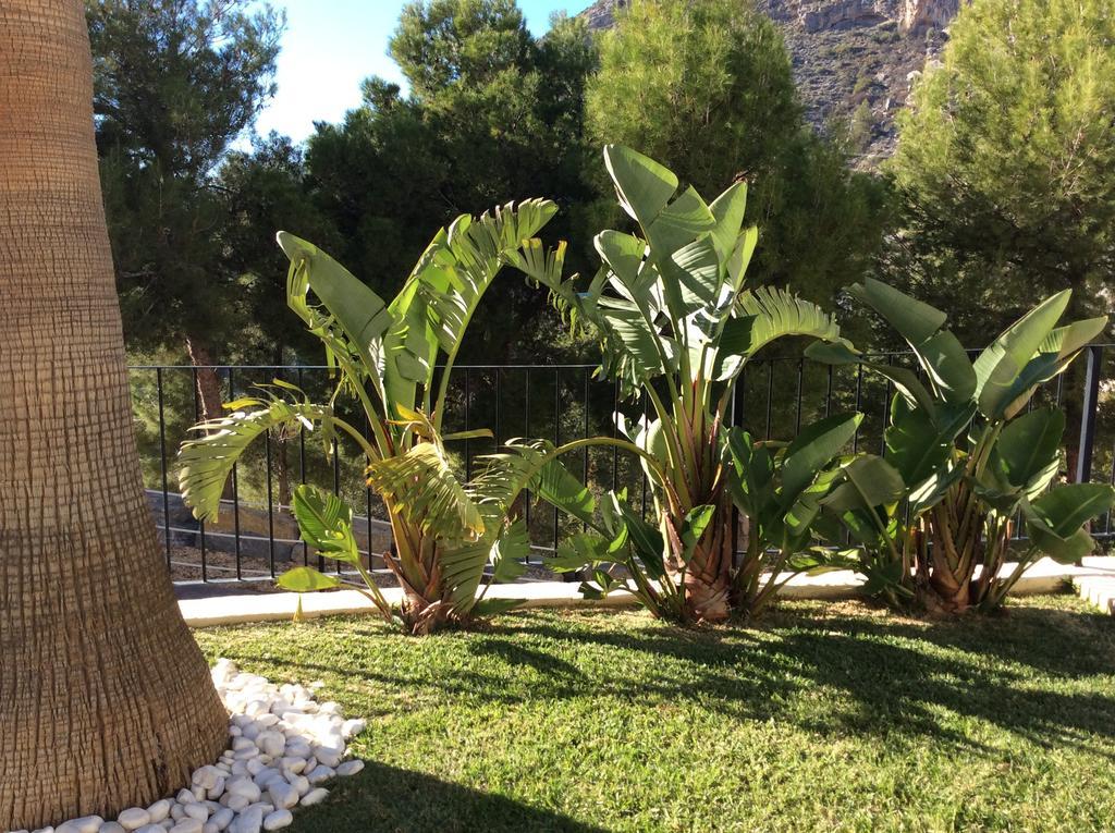 Olivos Holiday Home Алтеа Номер фото