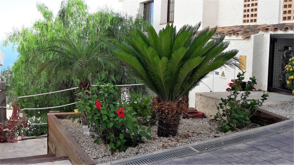 Olivos Holiday Home Алтеа Екстер'єр фото